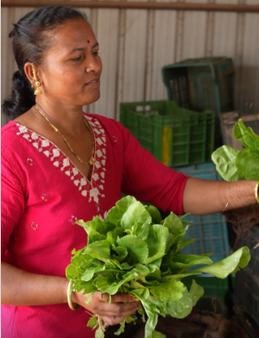Fresh green vegetables