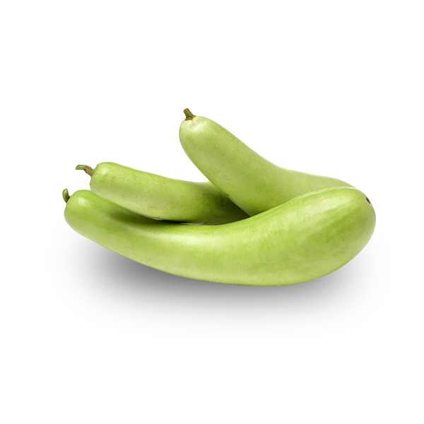 Bottle Gourd