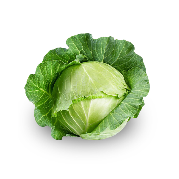 Cabbage