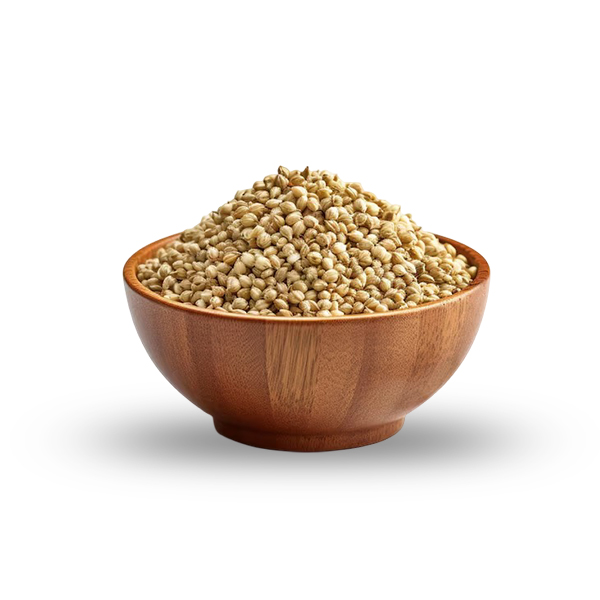 Coriander Seeds