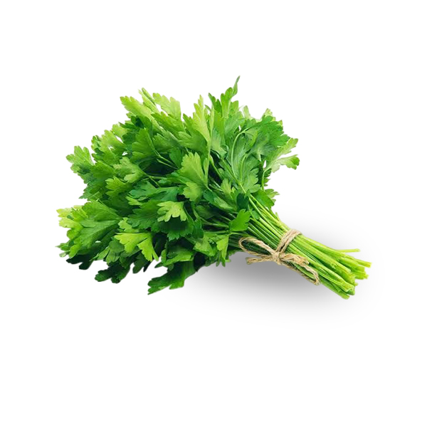 Coriander
