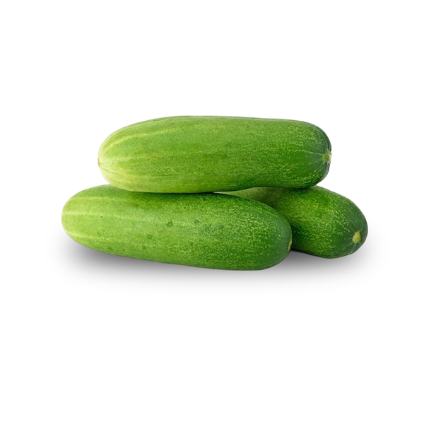 Cucumber