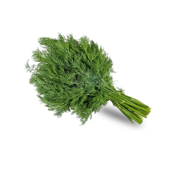 Dill