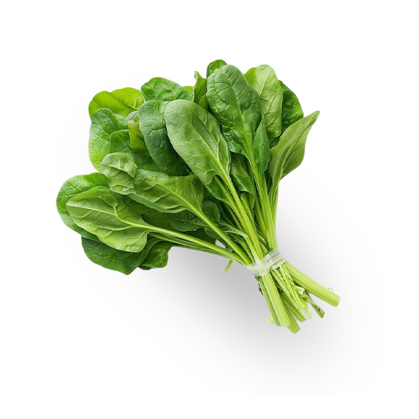 Palak