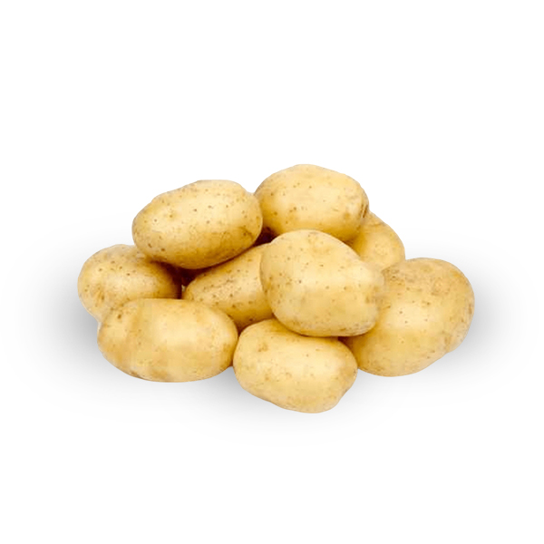 Potato