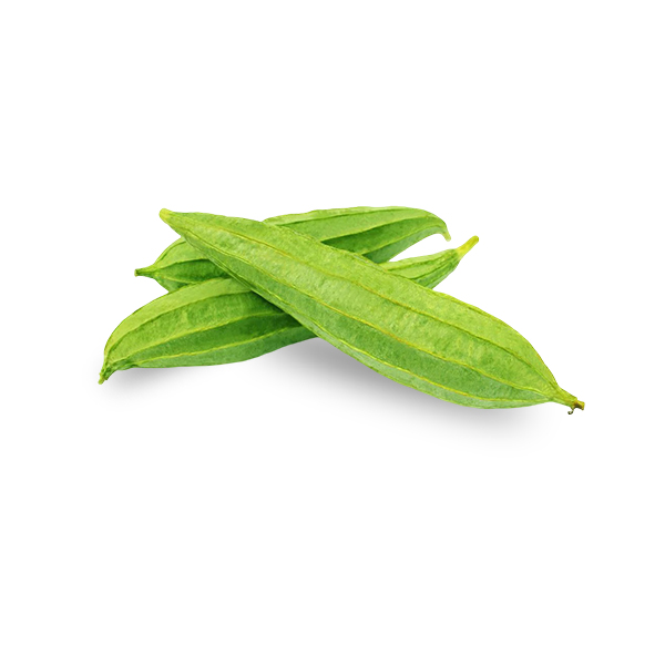 Ridge Gourd