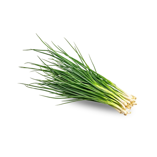 Spring Onion