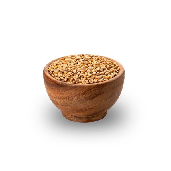 Wheat
